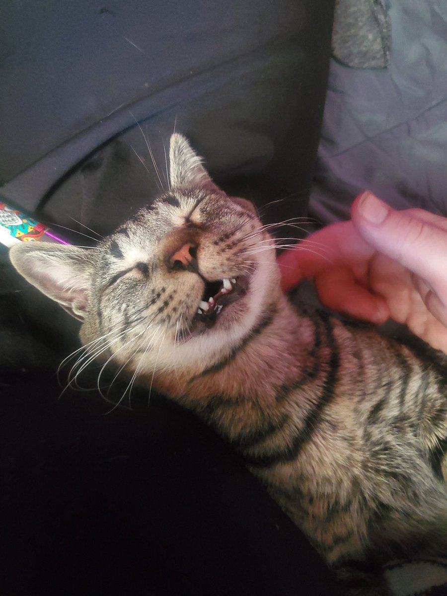 To become spring, means accepting the risk of winter.