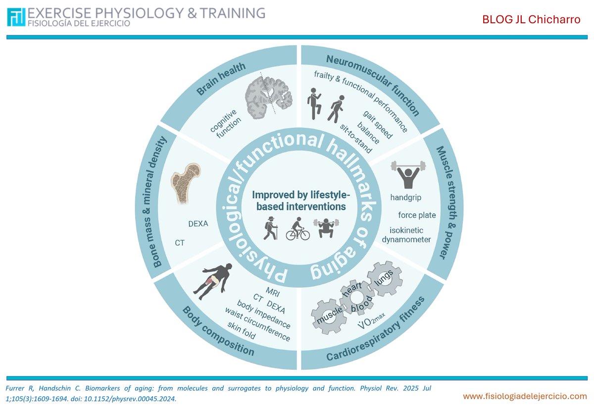 José López Chicharro (@chicharrojl) on Twitter photo Biomarcadores del envejecimiento: de lo molecular a la función fisiológica La mejor estrategia para vivir más y mejor no está en pastillas milagrosas, sino en hacer ejercicio, comer bien y poco, dormir adecuadamente y estar en paz con uno mismo y con los que te rodean. Biomarcadores del envejecimiento: de lo molecular a la función fisiológica La mejor estrategia para vivir más y mejor no está en pastillas milagrosas, sino en hacer ejercicio, comer bien y poco, dormir adecuadamente y estar en paz con uno mismo y con los que te rodean.