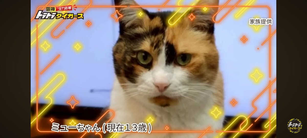 KEDAMA150cm's tweet photo. すごく良かった https://t.co/8XFAFvxKfu