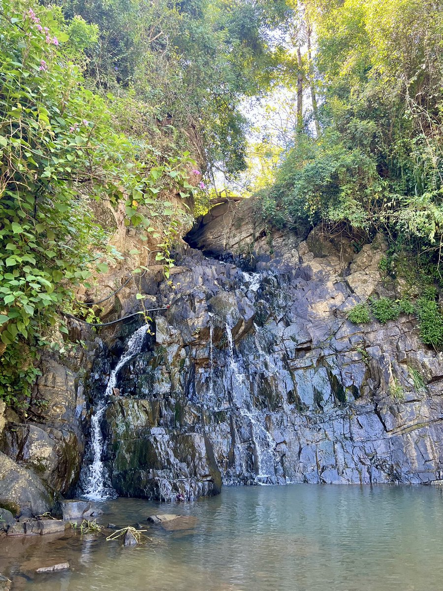 After a busy schedule of meetings in Uva, I appreciated an afternoon surrounded by the natural beauty of the area