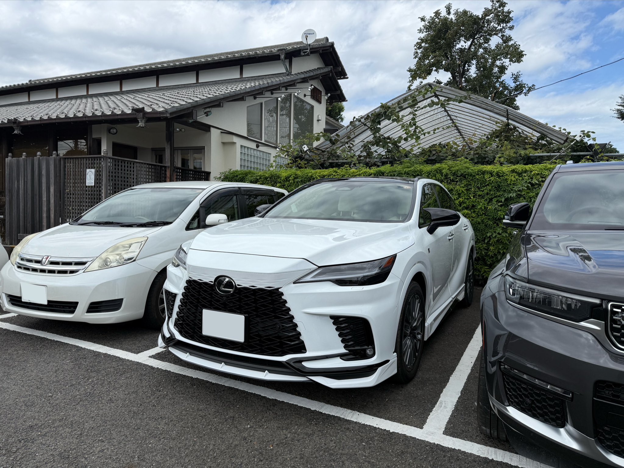 マロンさん専用 KENMARON-400 ケンマロン(50枚入) FUJI STAR(三共理化学) #400