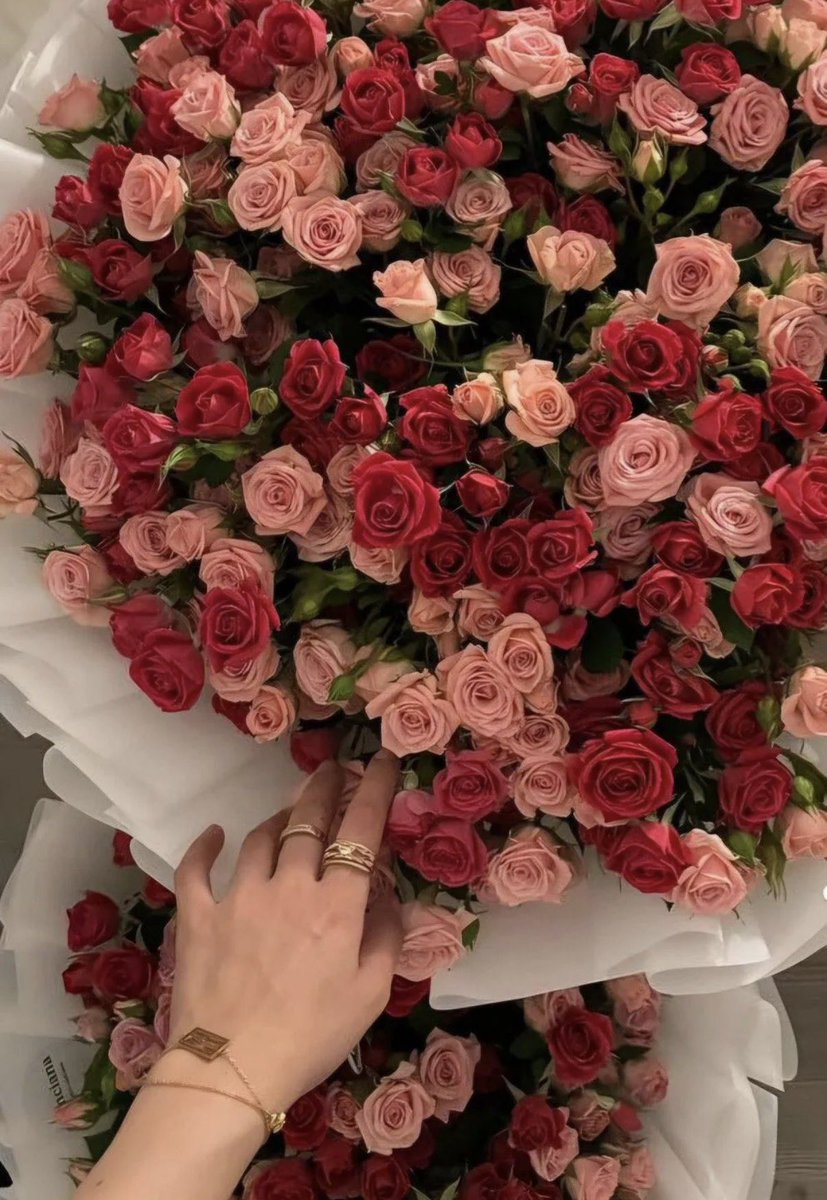 mooooonnn44's tweet image. العوض آتٍ ،،،

     وربُ القلبِ ادرى بميعاده❤️🕊️،،

#صباح_الخيرᅠ
#رسالة_اليوم
#الأحد