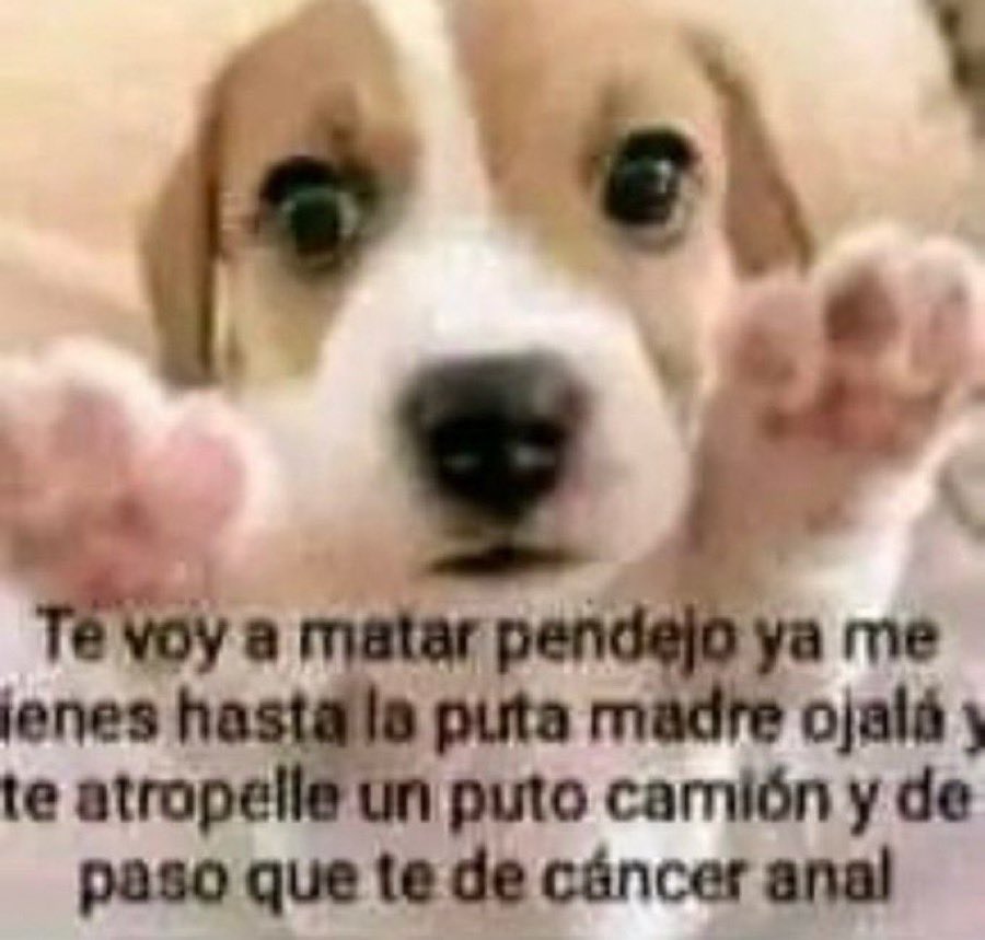 Andres1629227's tweet photo. @bautizita Ouch https://t.co/GuBHJ97DMw