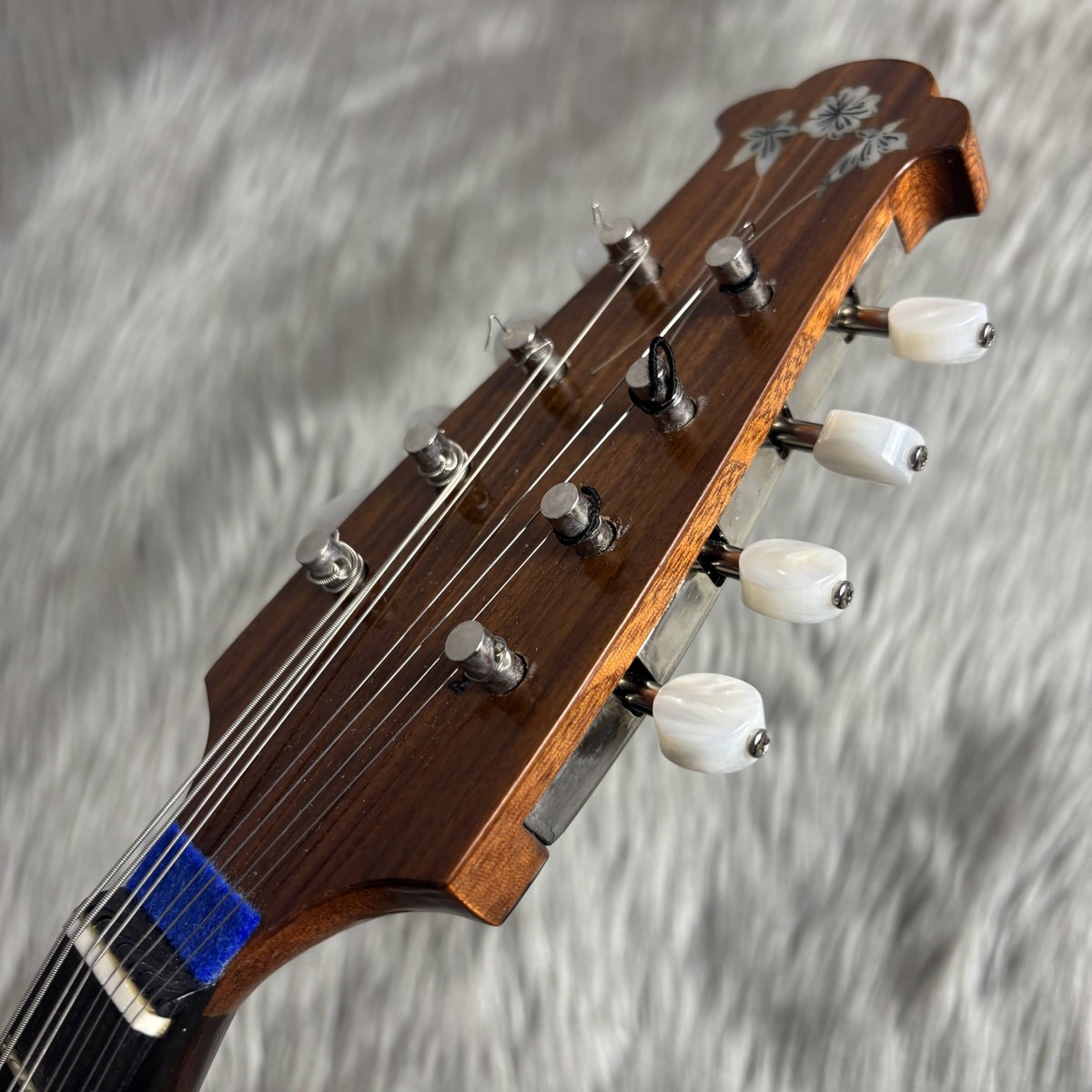 shima_kinshicho's tweet image. 🌟中古マンドリン入荷情報🌟
人気の #Calace マンドリンよりミドルクラスNo.13の中古美品が入荷しました😉
初中級の皆様にオススメしたいワンランク上の音色・華やかな装飾が魅力のモデルです👍
しかも今ならエポスカードでのお支払いで10%OFF📣
※9/29まで🍁

詳細はコチラ👇
store.shimamura.co.jp/ec/pro/disp/1/…