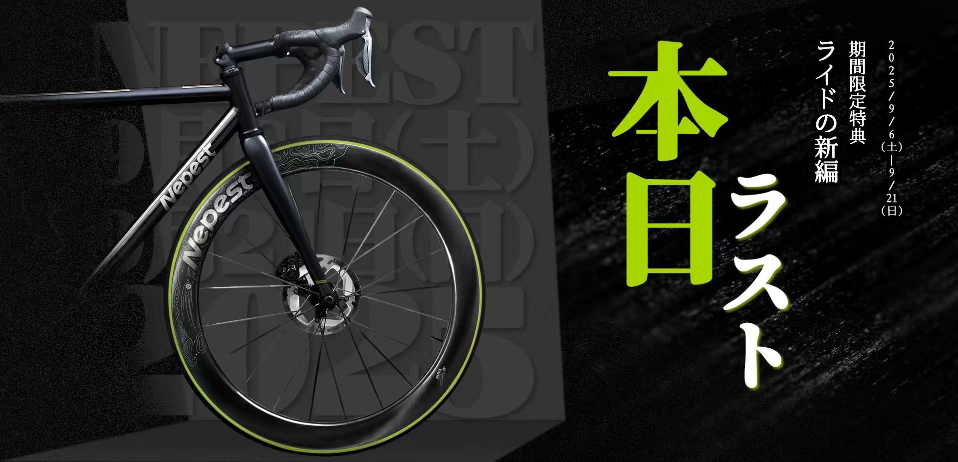 Nepest SPEEDN-50　リムブレーキモデル　シマノフリー Nepest SPEEDN-50 リムブレーキモデル シマノフリー Nepest SPEEDN-50