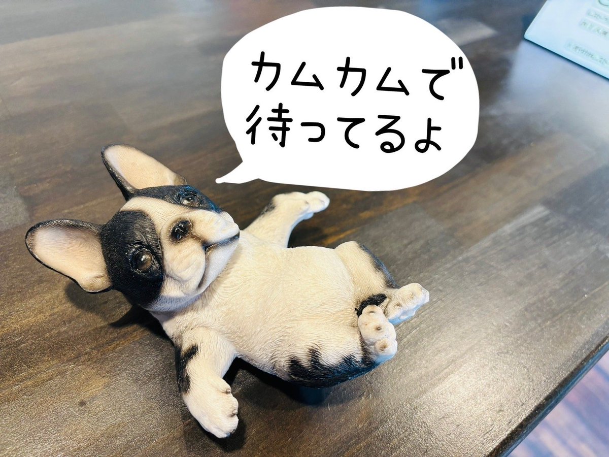 FCT_gotenba's tweet photo. 🚩営業日程のお知らせ🚩

🍛スパイスカレー＆ハンバーグ　ComeCome
🎌9月23日　秋分の日（祝日）
🐓11:30　～　22:00（21:00ラストオーダー）

毎週火曜日に定休日を頂いておりますが、明後日は通常営業致します😉
食欲の秋を当店でご堪能ください😄 https://t.co/nXT8cqwtKn