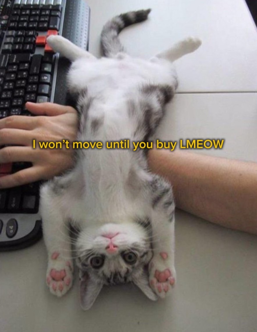 lmeowcoineth's tweet image. Just. Do. It. LMEOW.