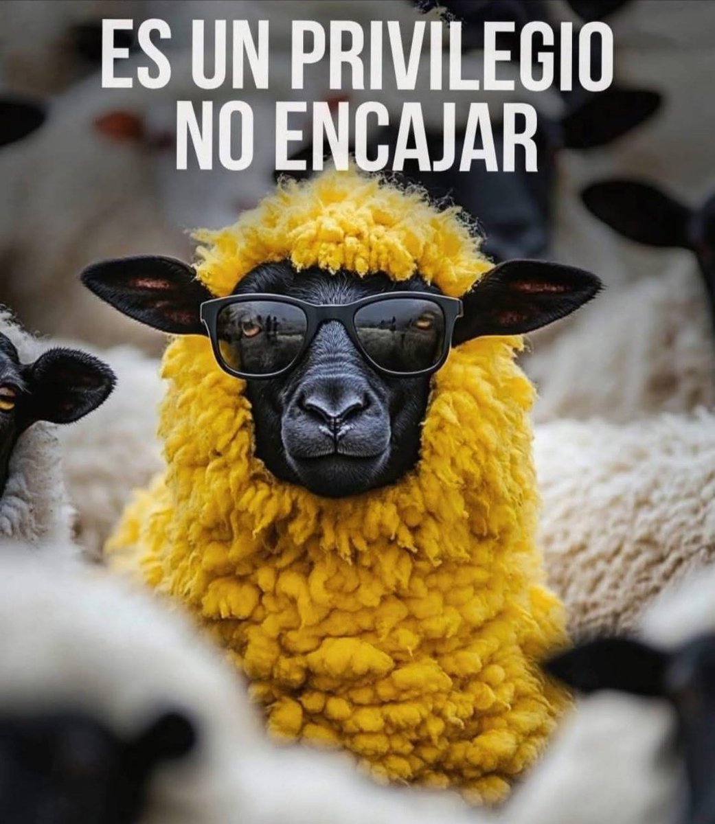 Es un privilegio no encajar = It is a privilege not to fit in. 

Well THAT speaks to me, my life and choices...

#yellowprivilege #whiteprivilege #YellowRandolf