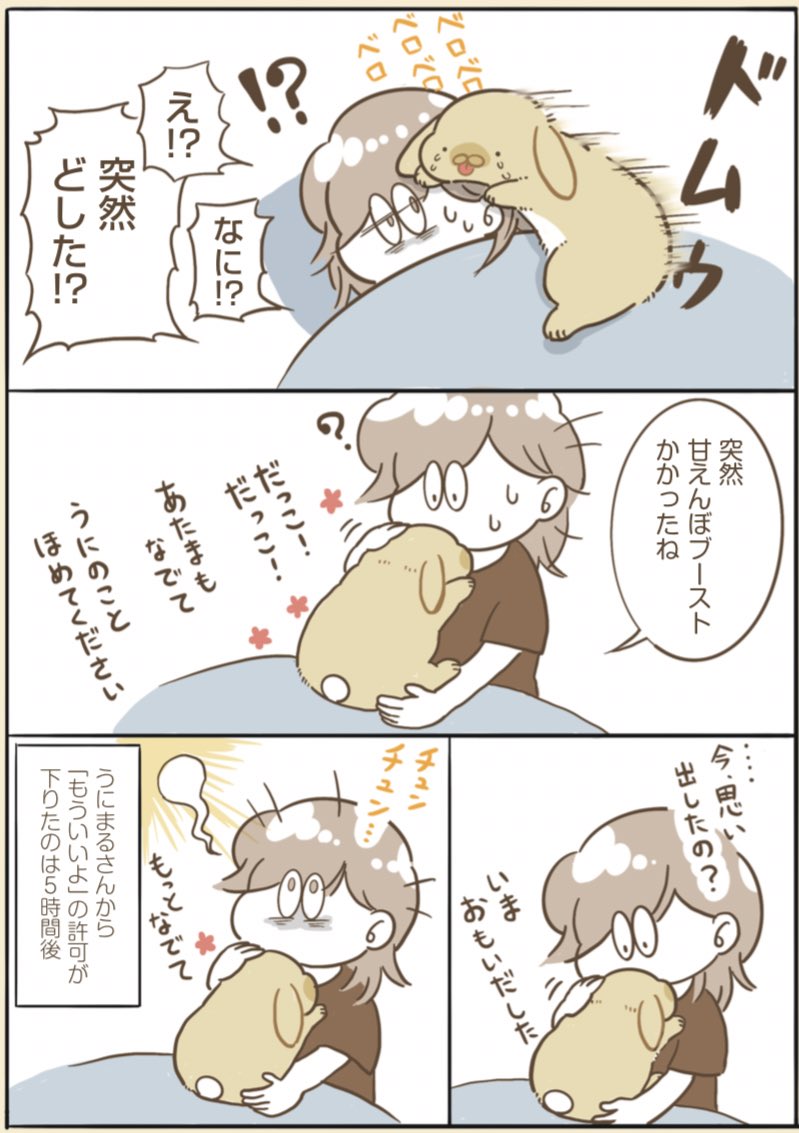 はにまるページ 飼い主、忘れられる。