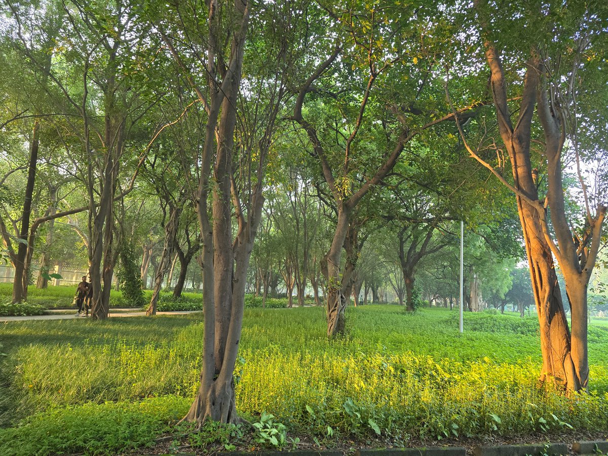 Dr Ambrish Mithal tweet media