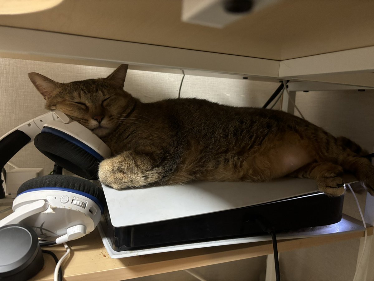 _chq5a_'s tweet photo. いつもゲームしてたりネトフリ見てるとこれなのでネットワークエラーなりがちだし稀にPS本体の電源落とされます😇笑
ピンポイントでPSの本体だけ落としにくるから確信犯です( ◜ᴗ◝ ) https://t.co/jN3vQWSge4