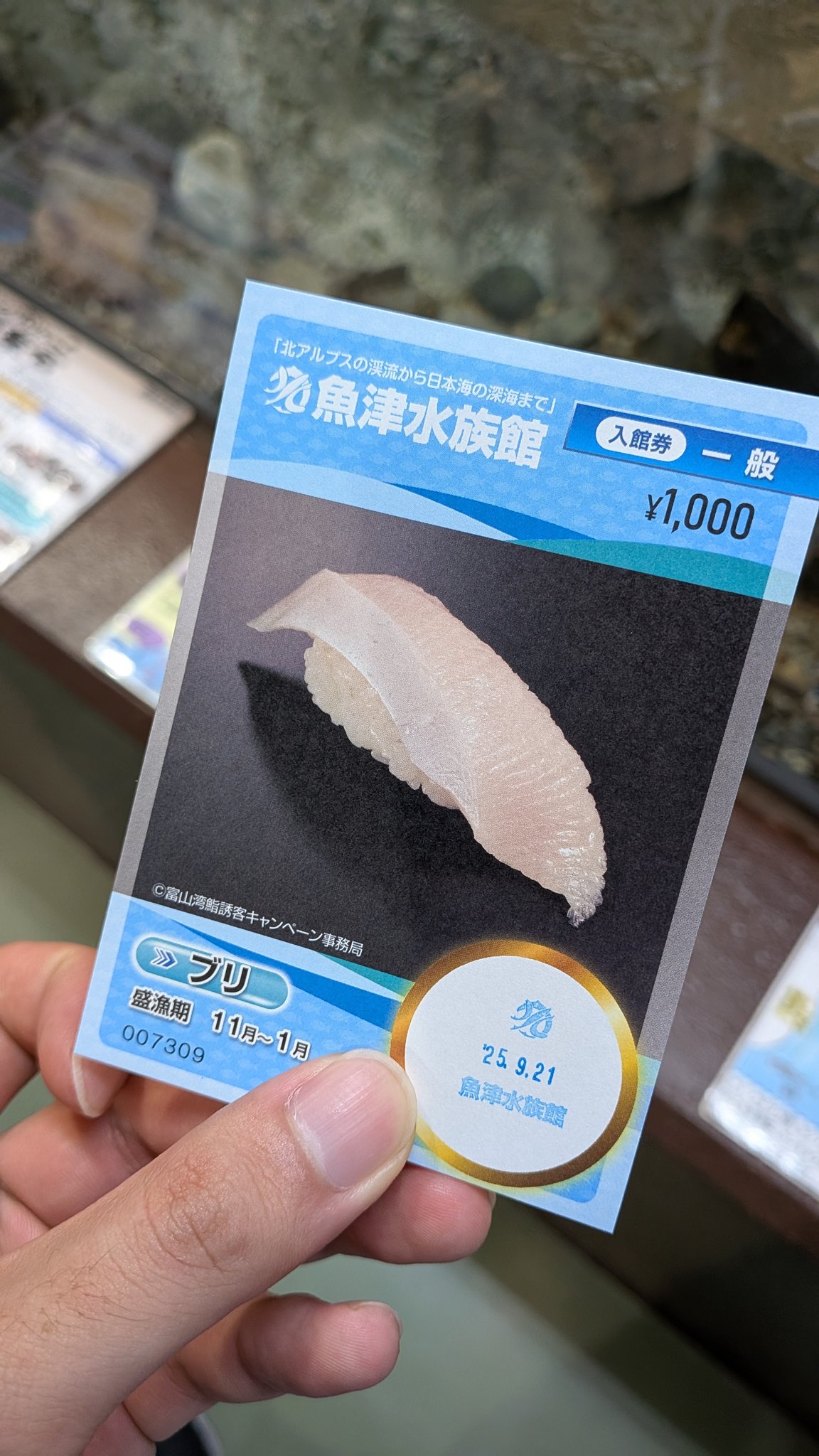 うめこ (@umkchama) / X