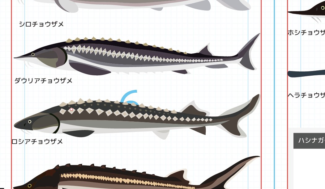 花木魚【35個まとめ】 花木魚【35個まとめ】 花木魚【35個まとめ】