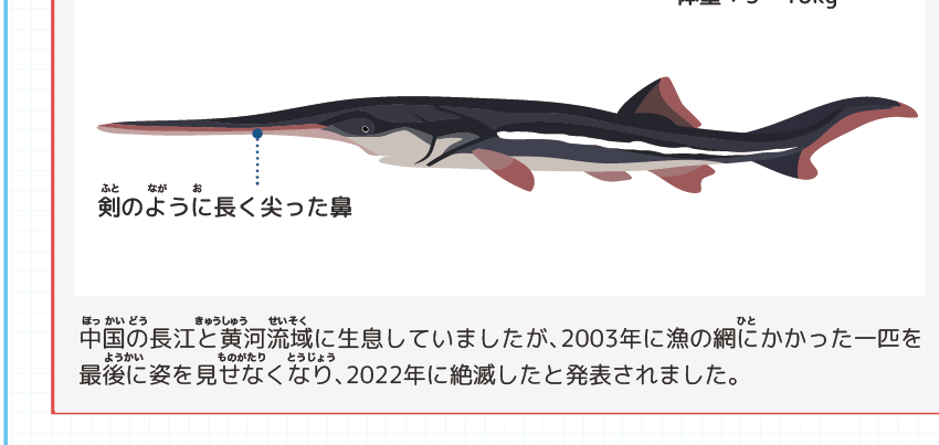 花木魚【35個まとめ】 花木魚【35個まとめ】 花木魚【35個まとめ】