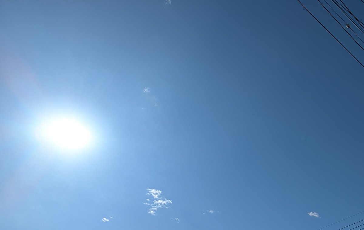 今日の朝レンおわり🏃‍♂
天気がいいですね☀
