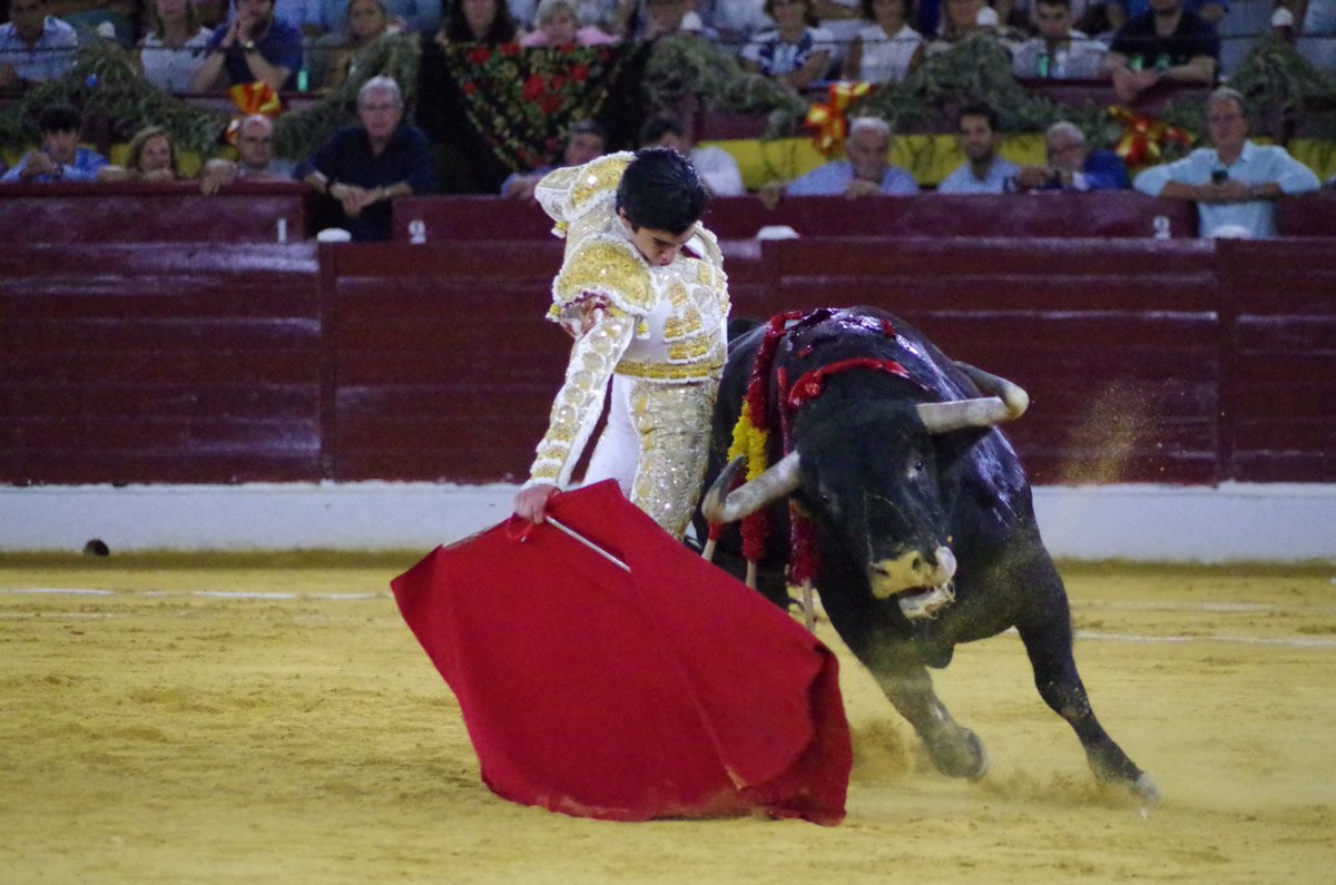 todoestoro's tweet photo. CRÓNICA. MURCIA 5ª de feria.
Emilio de Justo firma la faena más artística de la Feria y sale a hombros con Marco Pérez

https://t.co/8kviMV3udc

@EmiliodeJusto
@EmilioDeJusto83 
@PlazaToroMurcia https://t.co/hG0LfAR3aO