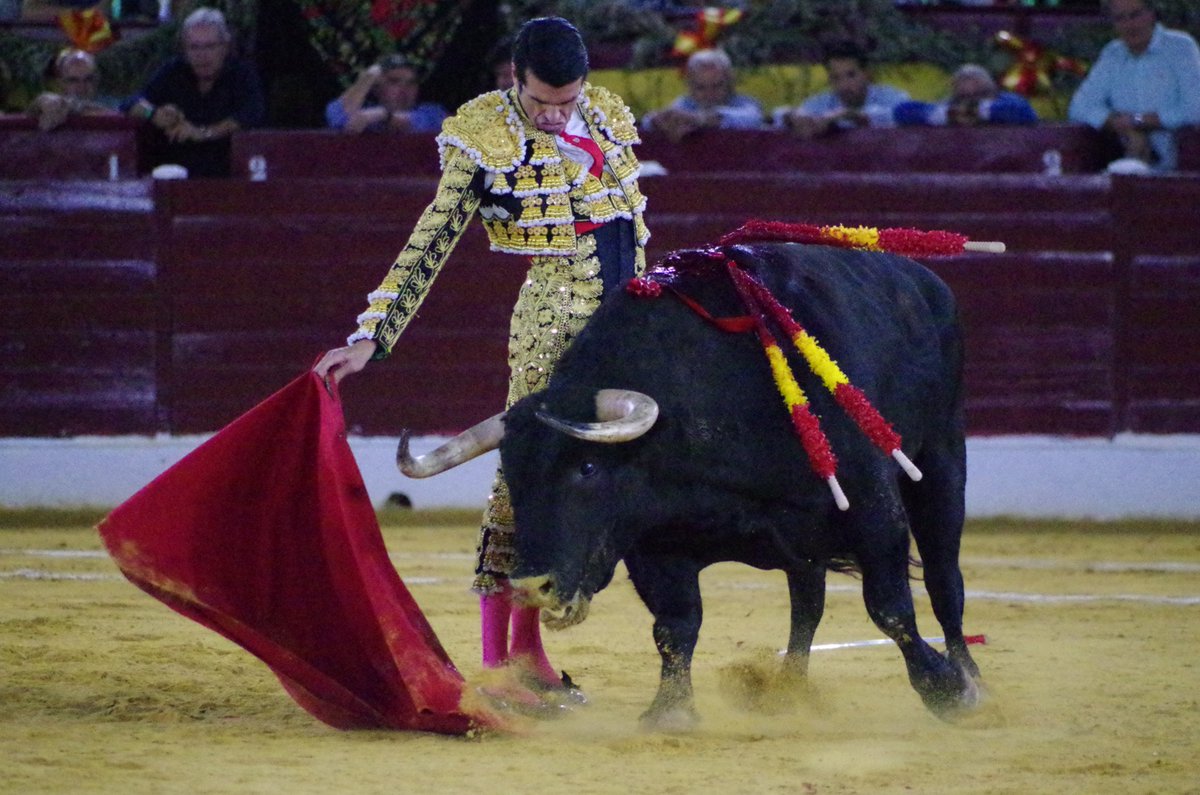 todoestoro's tweet photo. CRÓNICA. MURCIA 5ª de feria.
Emilio de Justo firma la faena más artística de la Feria y sale a hombros con Marco Pérez

https://t.co/8kviMV3udc

@EmiliodeJusto
@EmilioDeJusto83 
@PlazaToroMurcia https://t.co/hG0LfAR3aO