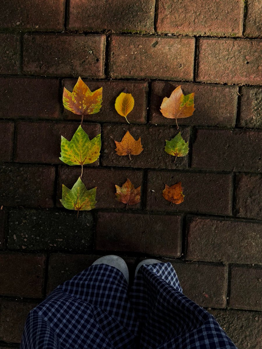 一人でリフレッシュする方法は、自然の中に行ってエネルギーを取り戻すことです。