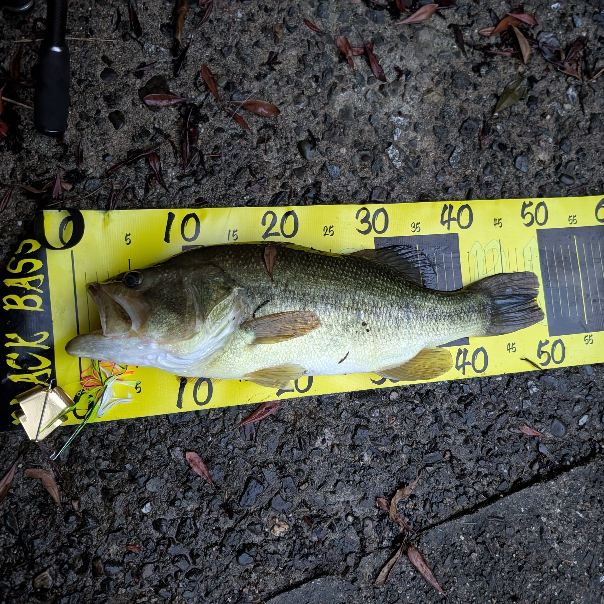 ひろきち ひろきち (@hiroki777_tw) / X