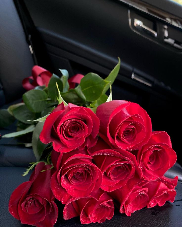 Red Rose