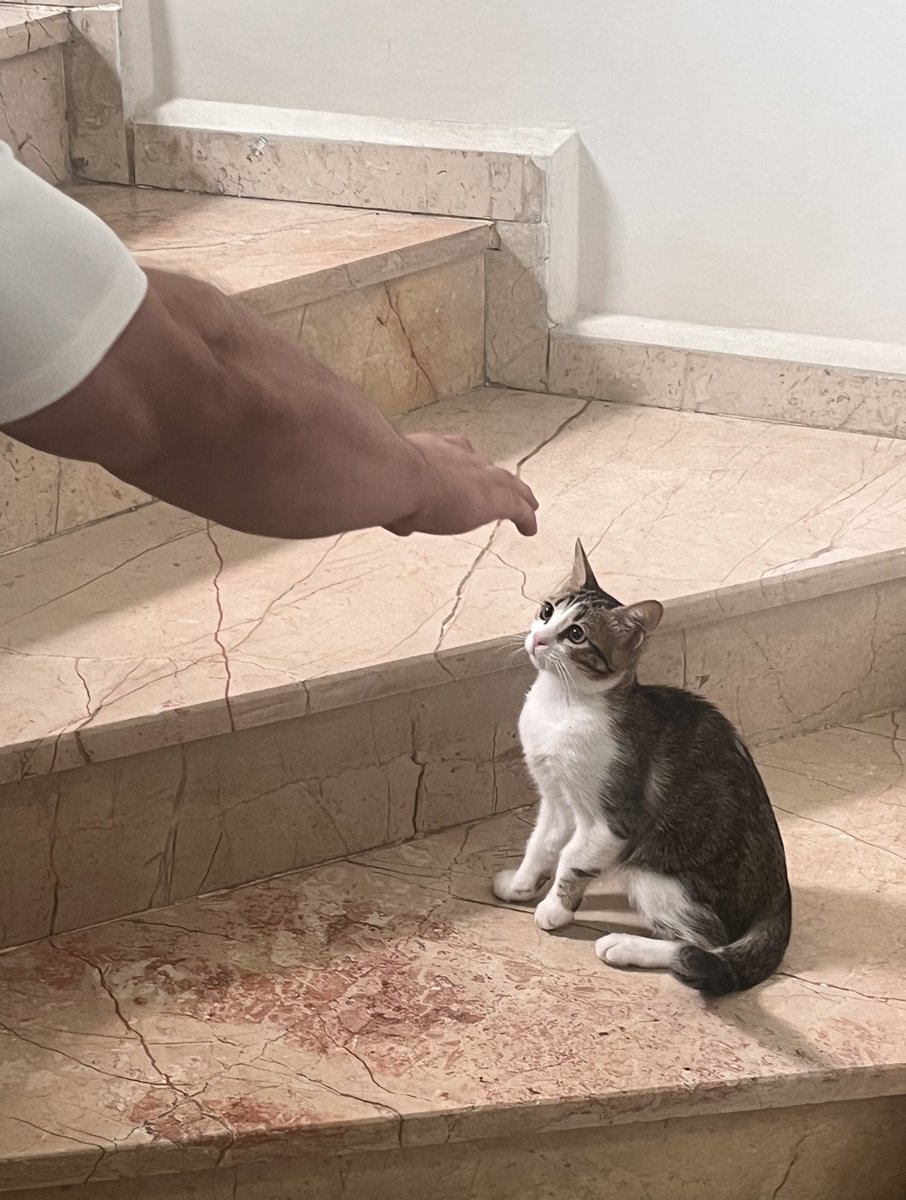 feyza (@marsimyay) on Twitter photo 