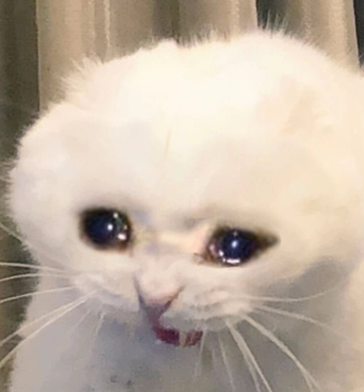 spideycrypto7's tweet image. Yoooo