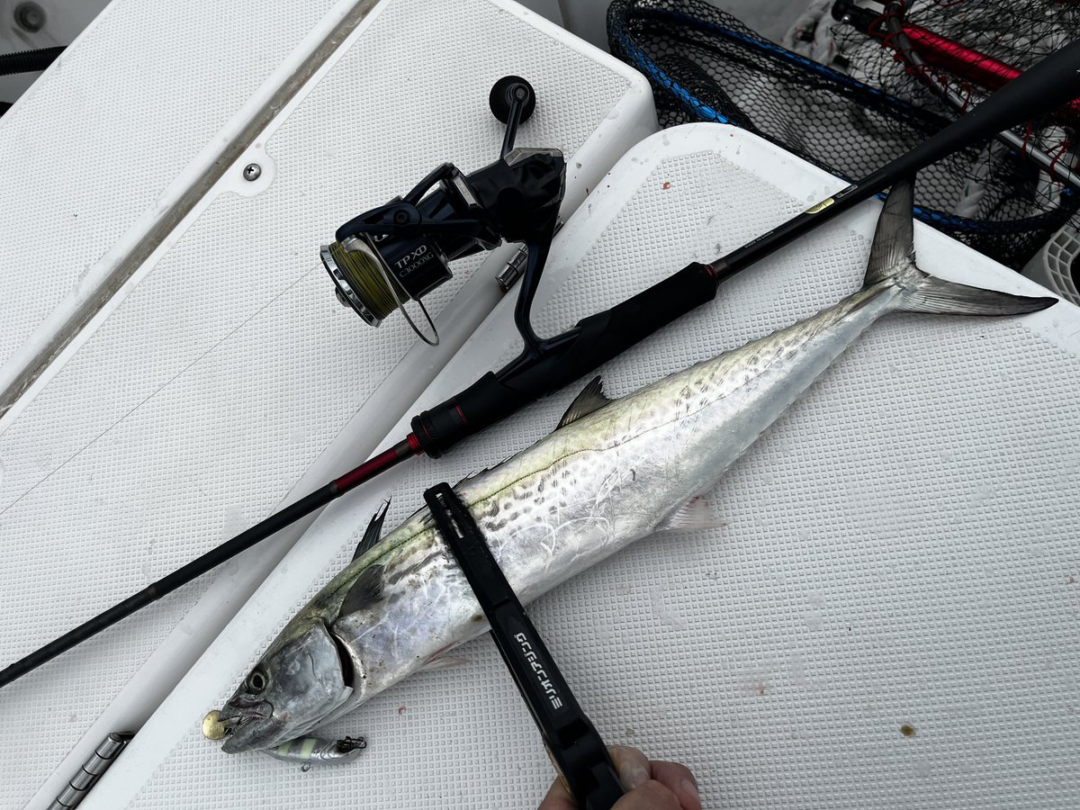 かのお @釣り人 (@knr_fishoe) / Posts / X