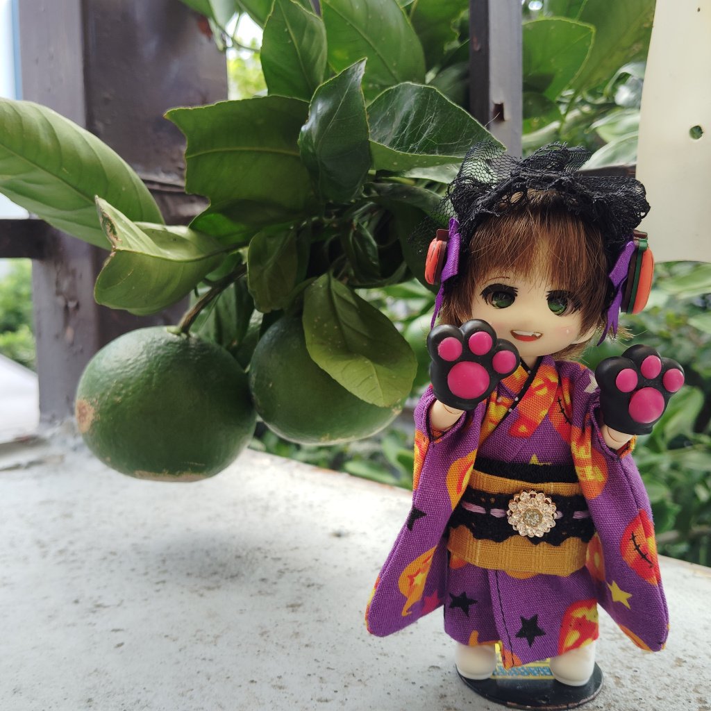 植樹マン「いのちの森の使者」 ENCYCLOPEDIA OF FLOWERS Ⅳ 植物図鑑｜青幻舎 SEIGENSHA Art