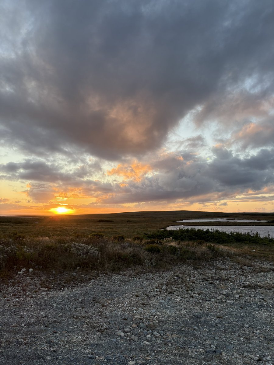 Great day! Dogs had a blast!