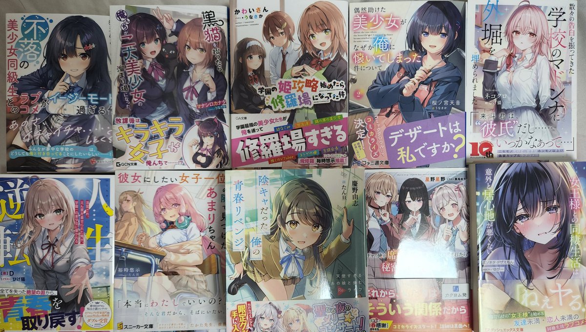 Myy_eki's tweet image. このライトノベルがすごい！2026の投票をしてきました。10作品に絞るのは迷った…。
#不落の美少女同級生とのラブコメがイージーモード過ぎる
#ネコタマ
#姫修羅
#ぐうなつ
#マド堀
#人逆
#あまりちゃん
#陰リベ
#席替えS級美少女
#高校時代に傲慢だった女王様との同棲生活は意外と居心地が悪くない
