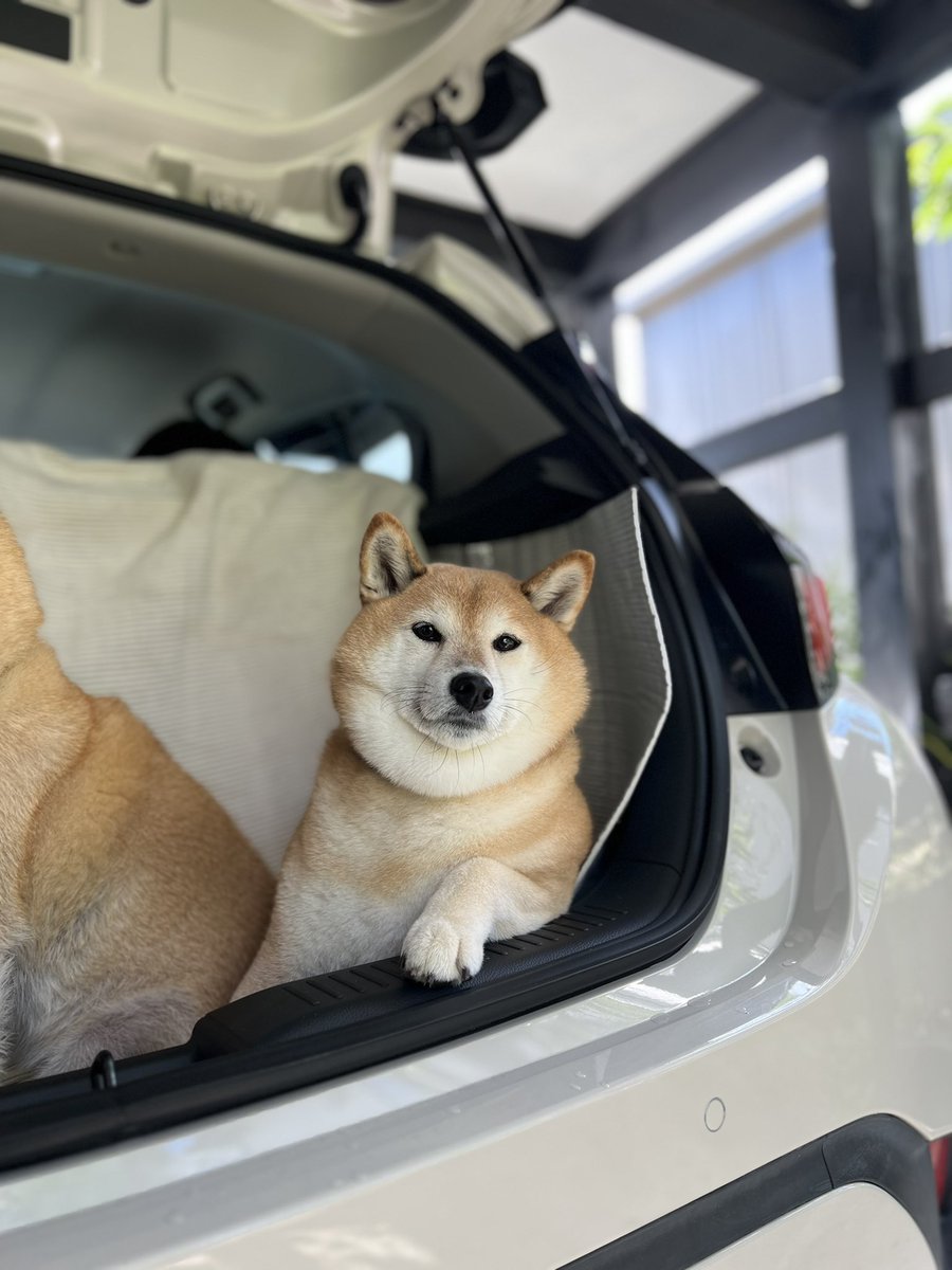 マー坊☀🇬🇧🇩🇪 (@MSR9910) / X