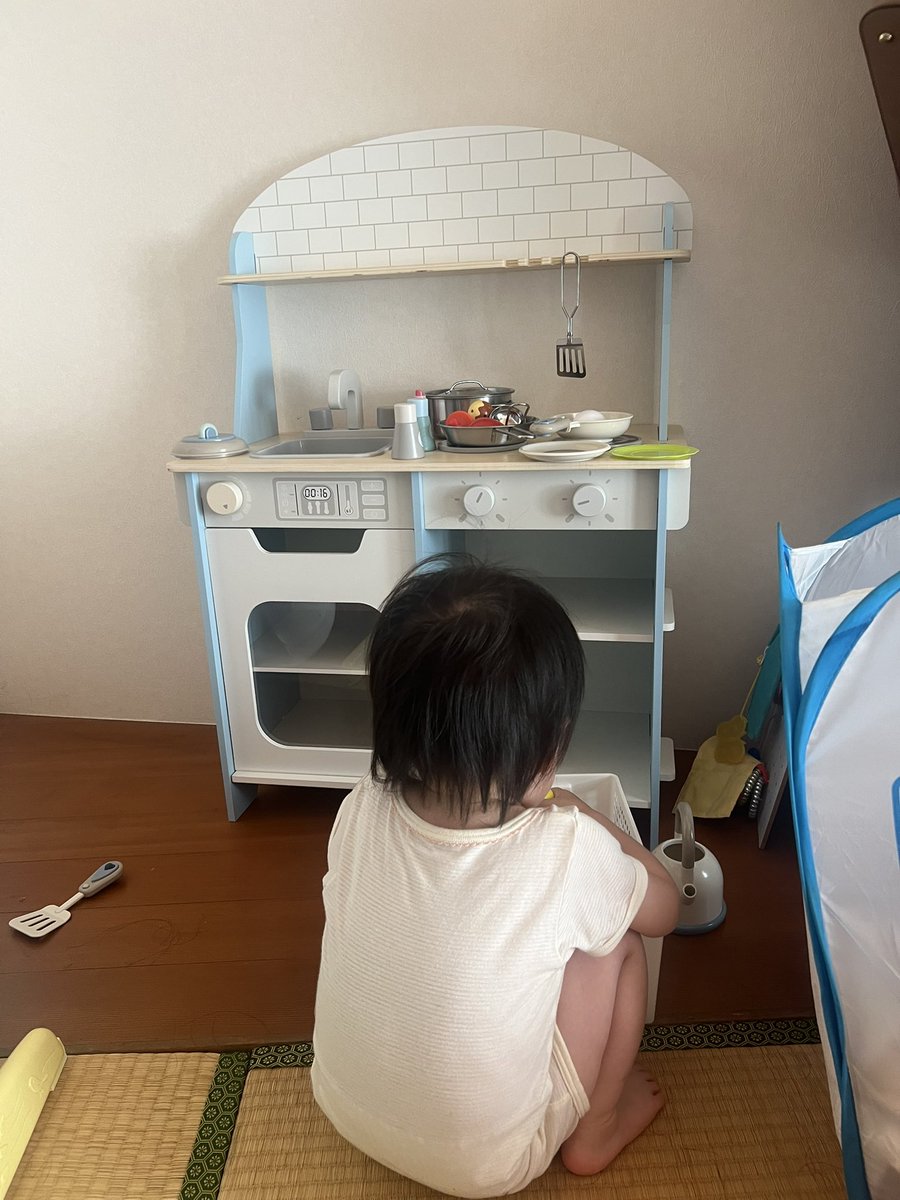 2歳誕生日プレゼントはこれだ！