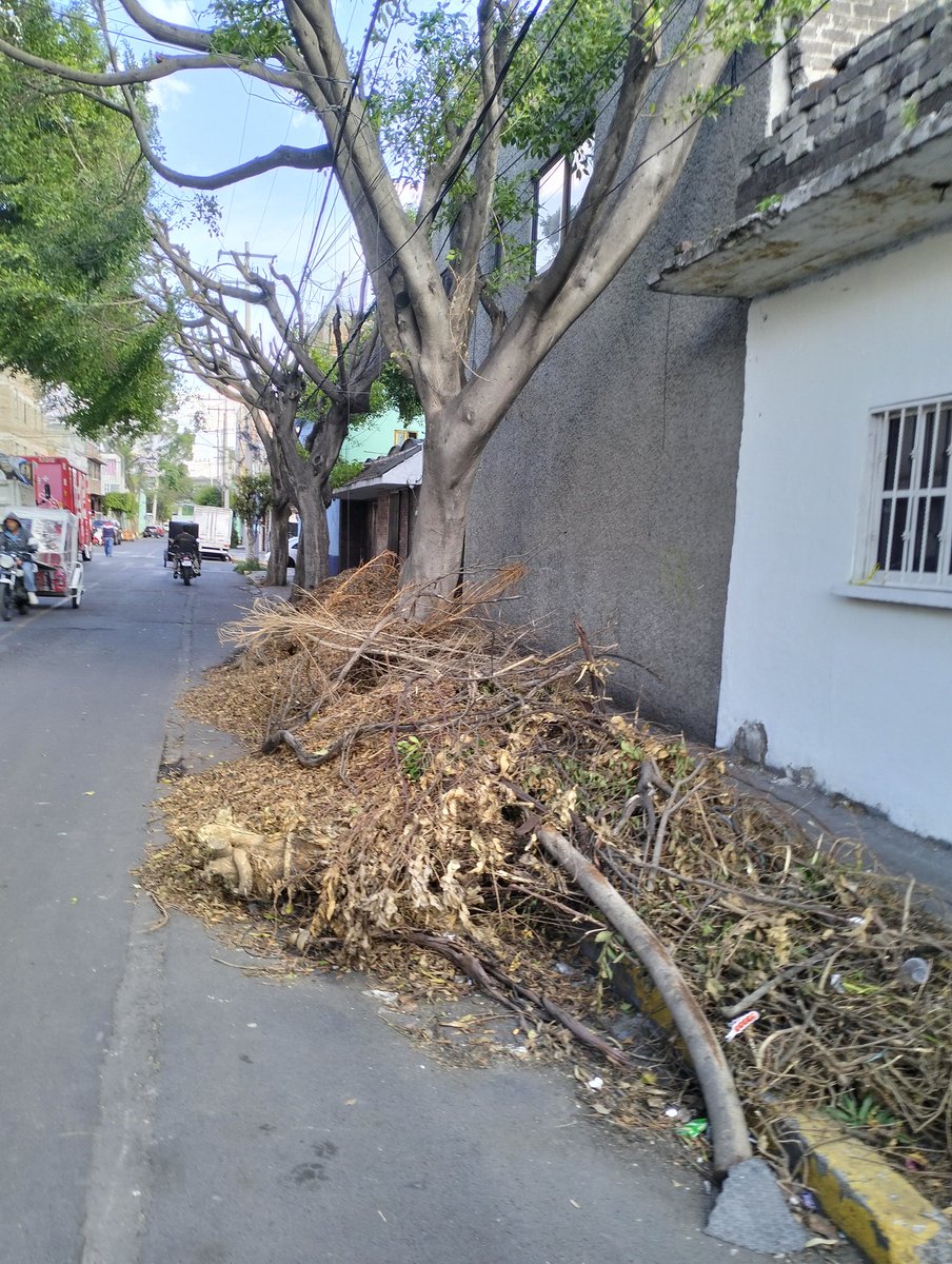 Mauricio Montaño tweet media