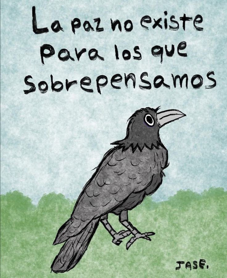 CesarDuarte's tweet image. 