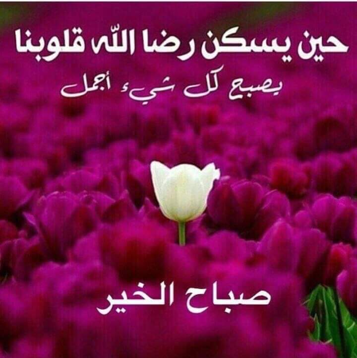 صلوا على حبيب الله