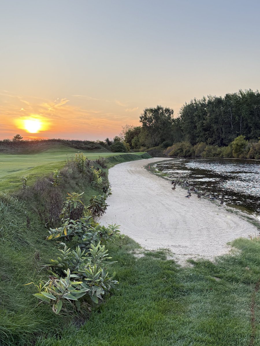 Brent Malone tweet media