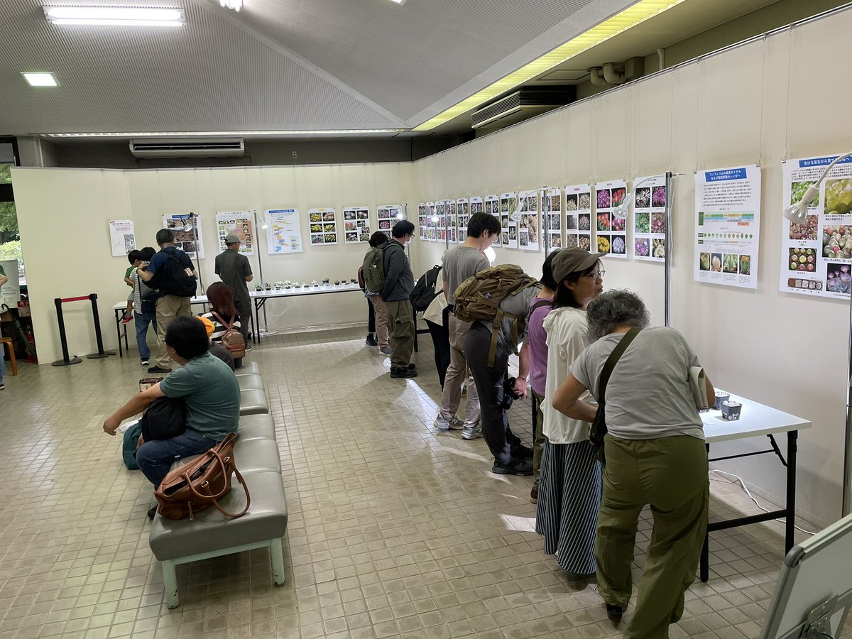 昨日からコノフィツム展示会

午後は雑誌取材対応とセミナー、展示会場で解説

今日も昼前から夕方まで数時間ぶらぶらしてる予定です。