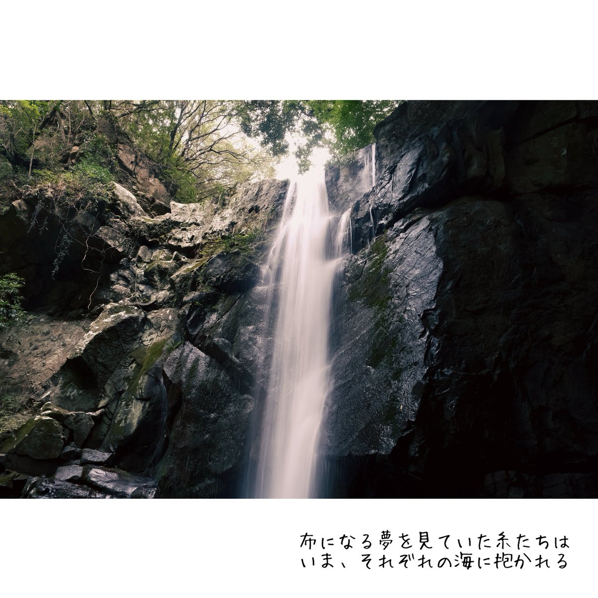 bata's tweet image. 布になる夢を見ていた糸たちは
いま、それぞれの海に抱かれる

#短歌 #フォト短歌
#今日もx日和
#淡路島 #鮎屋の滝

FUJIFILM X-E5
XF16-50mm

お互いの縦と横とを認め合えたら
織り成しあう今があったのでしょう

糸だった日の夢を見ています