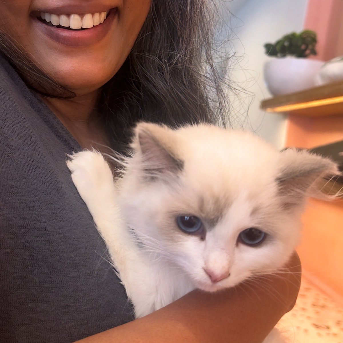 swati shetty tweet media