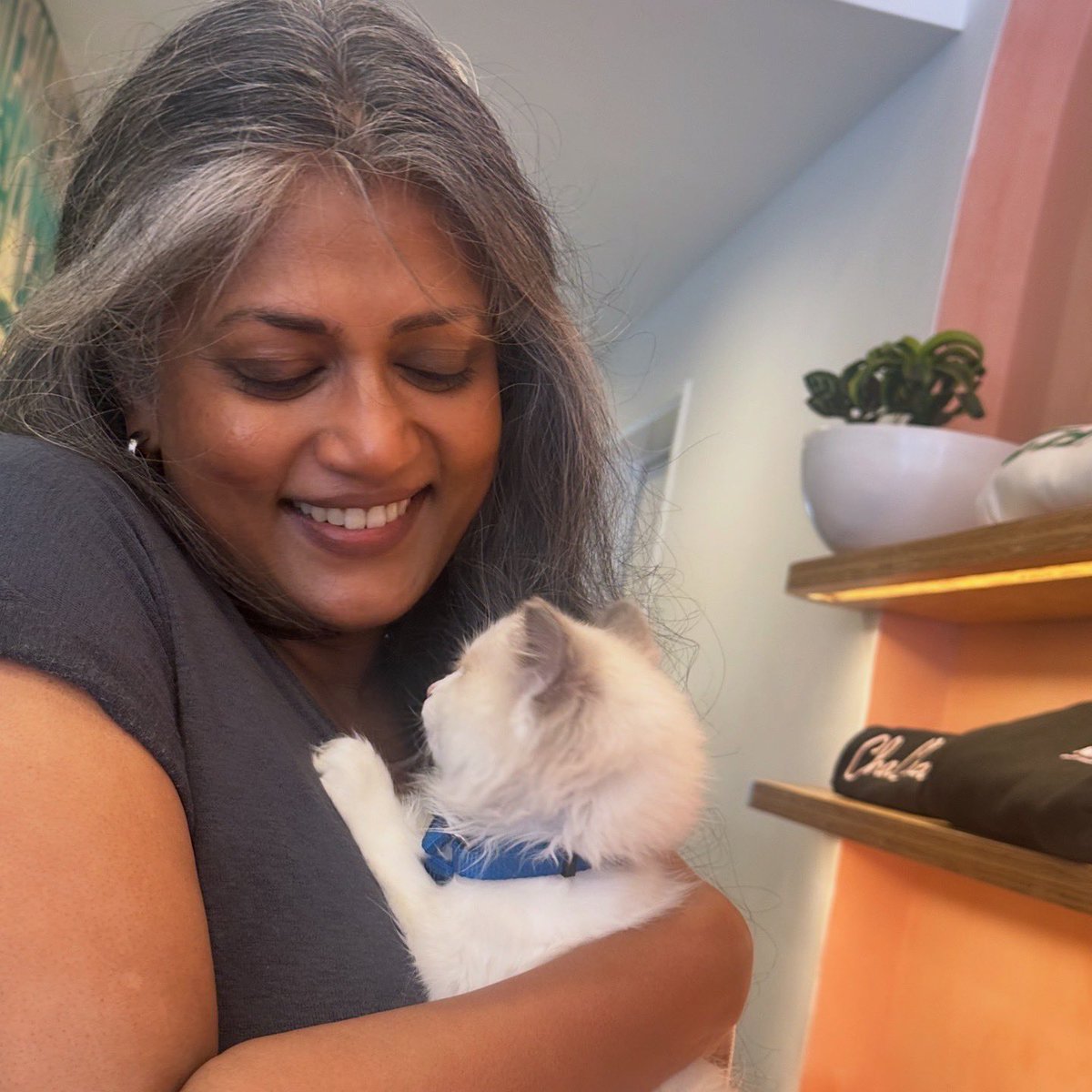 swati shetty tweet media