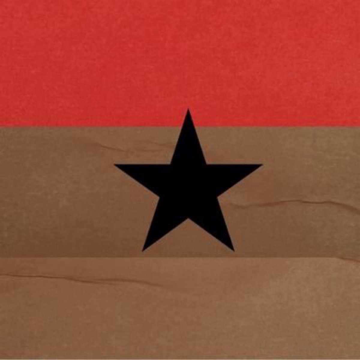 Ghana flag in 2026 #StopGalamseyNow