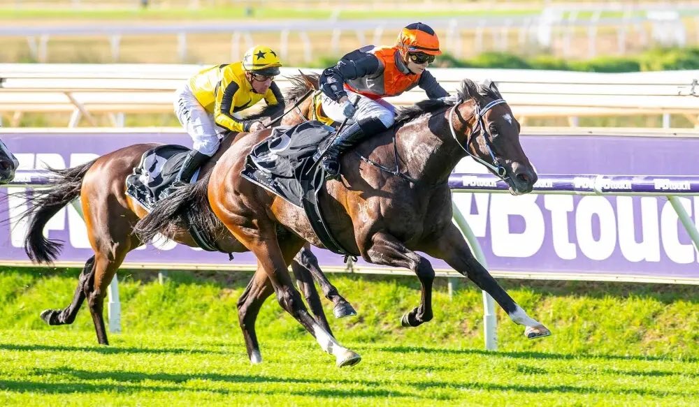 Jared Fish tweet media