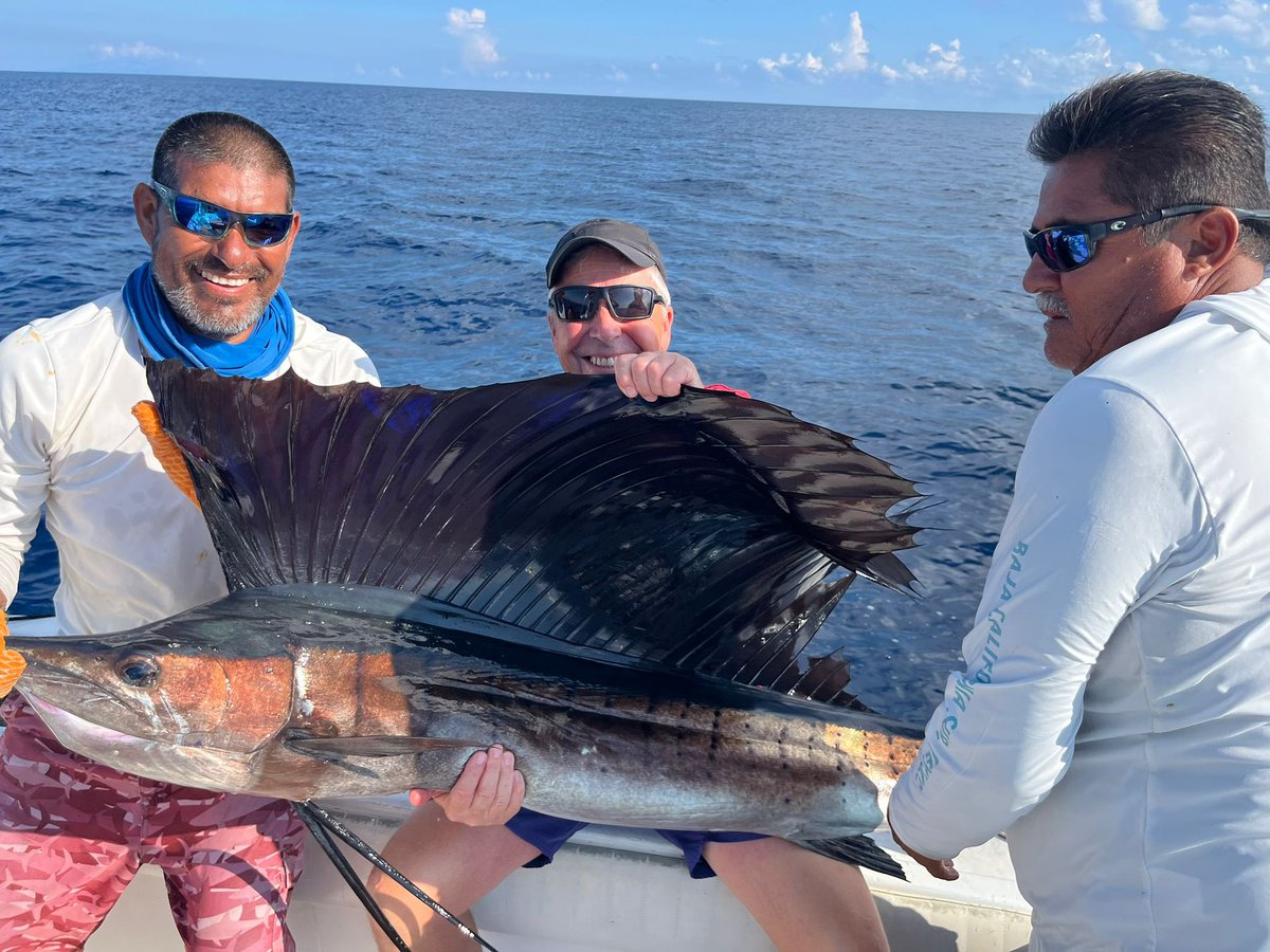 K L Langton. Master Plasterer tweet media