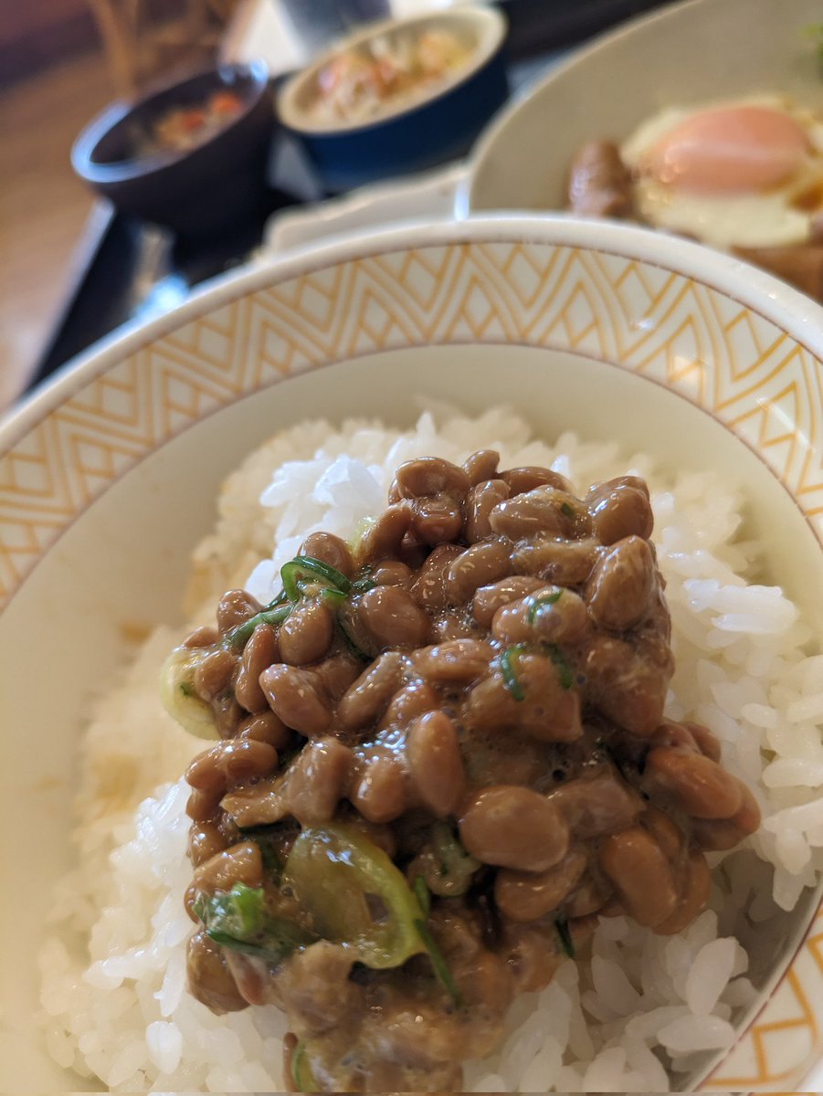 納豆家族
#朝めし
#納豆家族#ハンバーガーボーイズ

#すき家