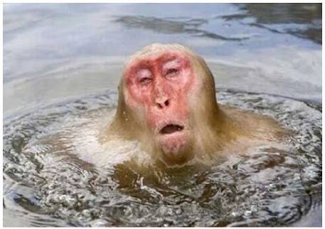 んじゃ逝ってきます。