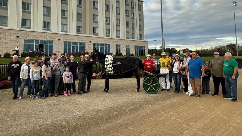 Harness Racing Minnesota tweet media