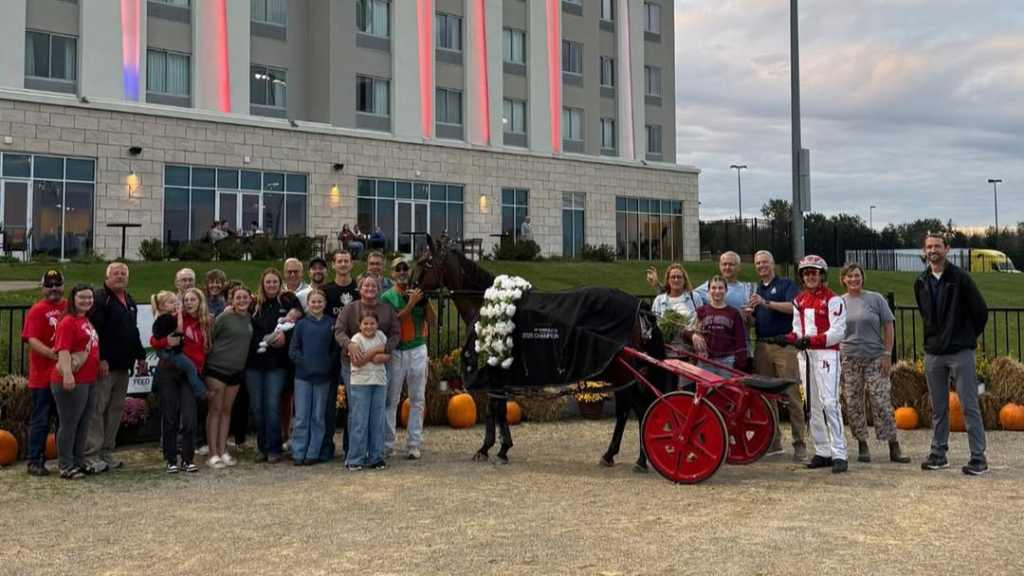 Harness Racing Minnesota tweet media