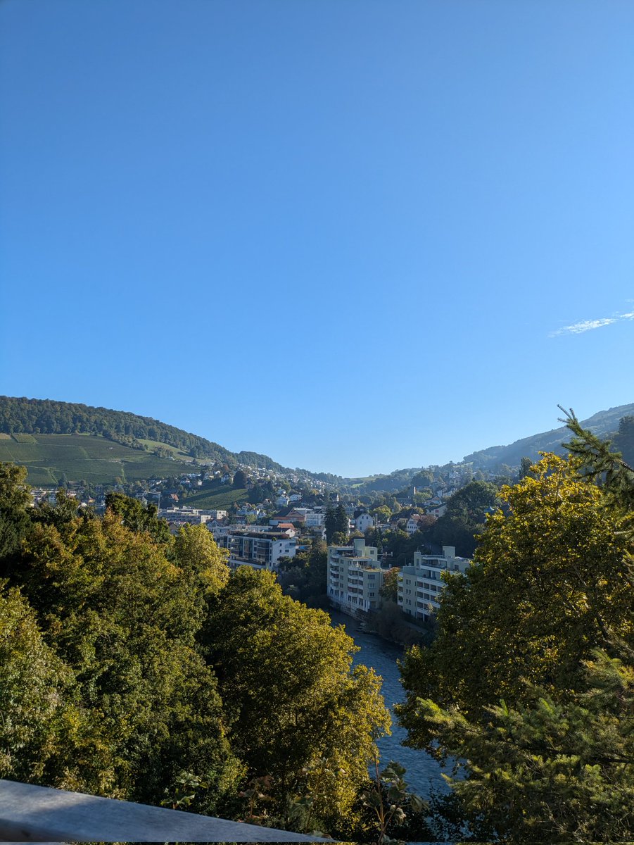 Otter (@otter8201) on Twitter photo 