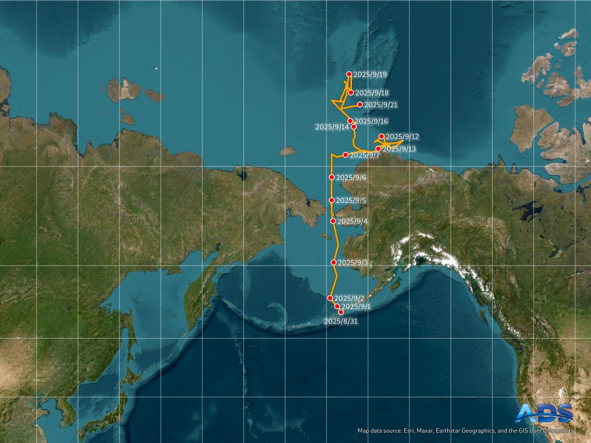 ADS_NIPR's tweet image. 2025年9月21日 10:00　今日のみらいと海氷状況
本日はAMSR2による海氷状況（実際と状況と異なってきている）
ads.nipr.ac.jp/venus.mirai/#/…
#みらい北極航海2025, #MR2505C, #ArCS_III, #みらいtheFINAL