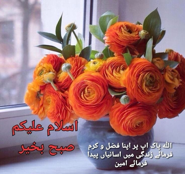 السلام علیکم ورحمتہ اللہ وبرکاتہ 
صبح بخیر زندگی